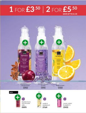 AVON brochure 13 2026 page 211